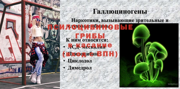 хмурый Инта