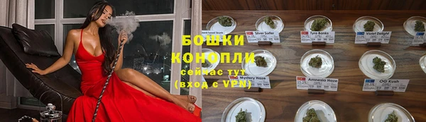 хмурый Инта