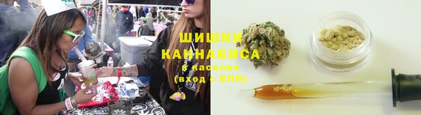 хмурый Инта