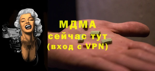 хмурый Инта