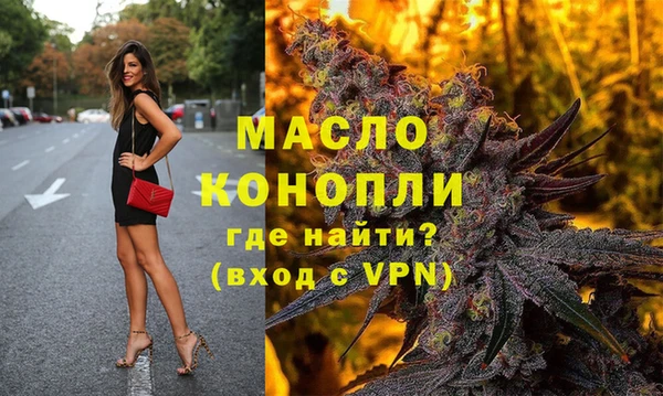 хмурый Инта