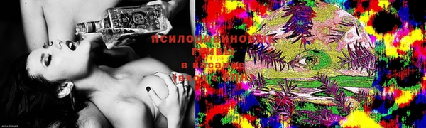 jwh Иннополис