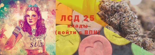 хмурый Инта