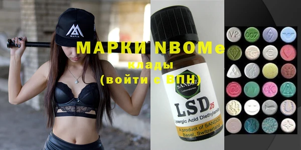 хмурый Инта
